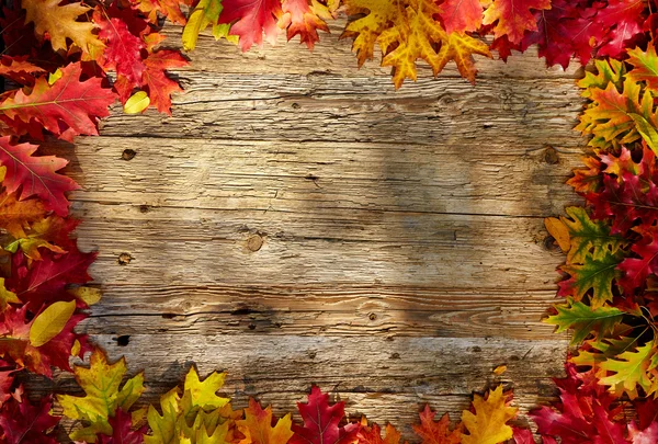 Bladeren op houten tafel — Stockfoto