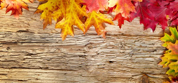 Bladeren op houten tafel — Stockfoto