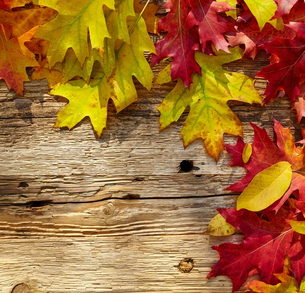 Blätter auf Holztisch — Stockfoto