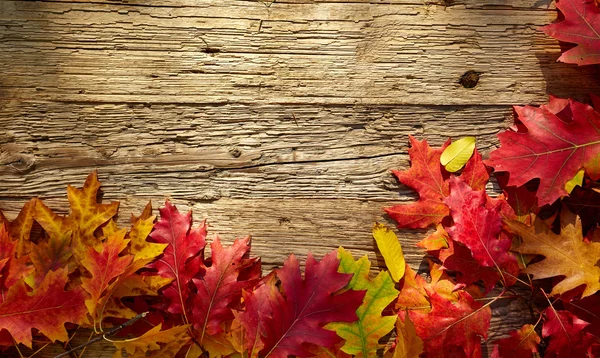 Bladeren op houten tafel — Stockfoto