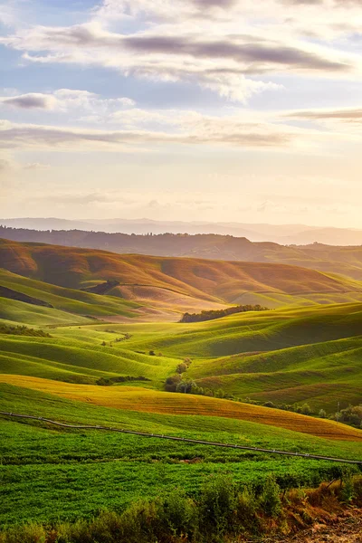 Yeşil Toskana hills — Stok fotoğraf