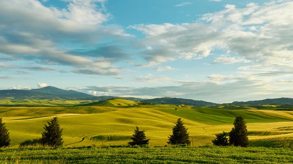 Groene heuvels van Toscane — Stockfoto