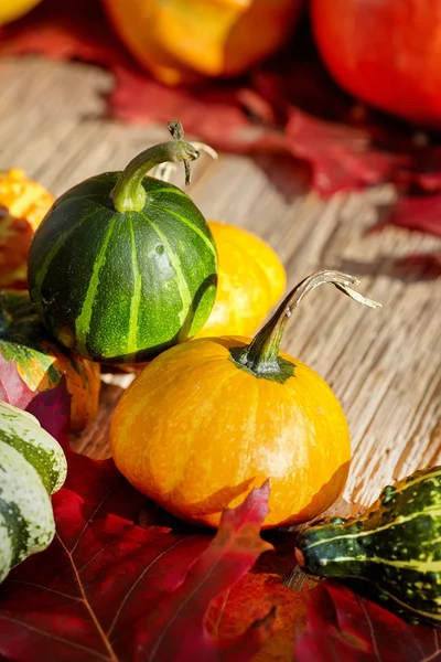 Ripe harvest on table — Stock Photo, Image