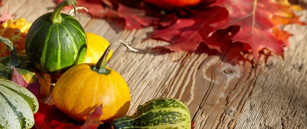 Ripe harvest on table — Stock Photo, Image