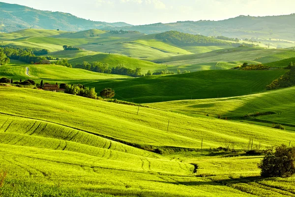 Toscana colinas natureza — Fotografia de Stock