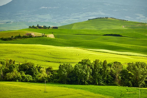 Toscana colinas naturaleza —  Fotos de Stock