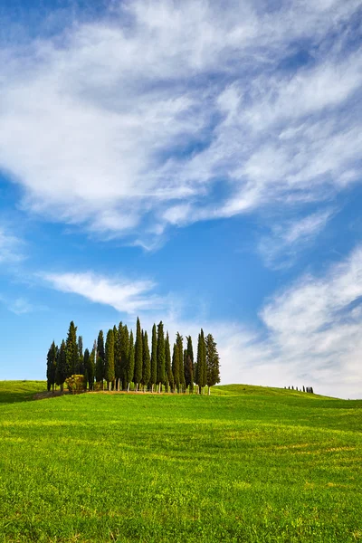 Toscana colinas natureza — Fotografia de Stock