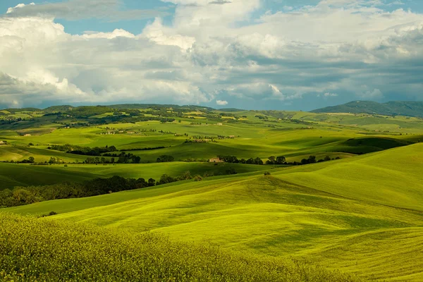 トスカーナの緑の丘 — ストック写真