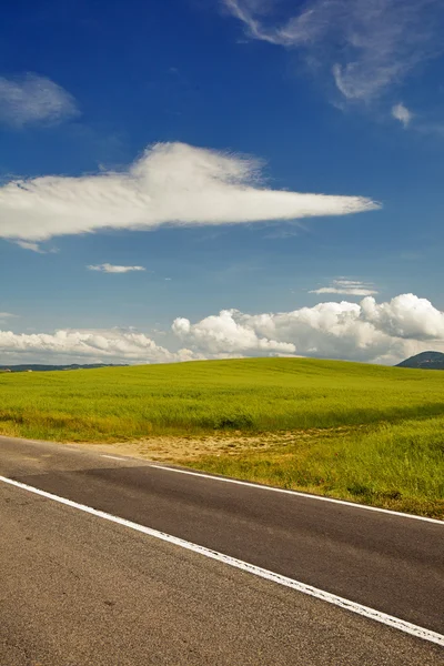 Droga asfaltowa w Toskanii hills, — Zdjęcie stockowe