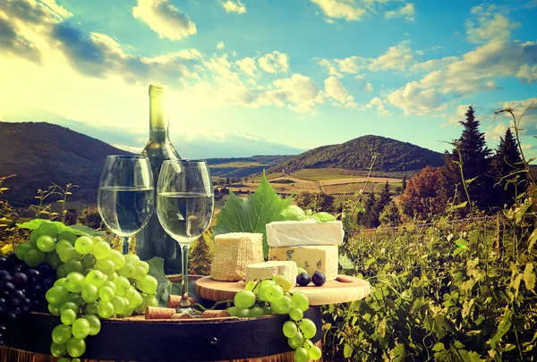 Weißwein mit Fass auf Weinberg in der Toskana, Italien — Stockfoto