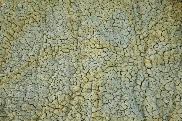 Detail of a cracked earth, backround — Stock Photo, Image