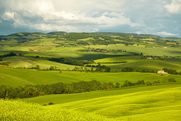 Collines de la Toscane verte — Photo
