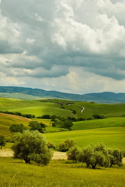 Zelené kopce Toskánska — Stock fotografie