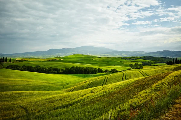Groene heuvels van Toscane — Stockfoto