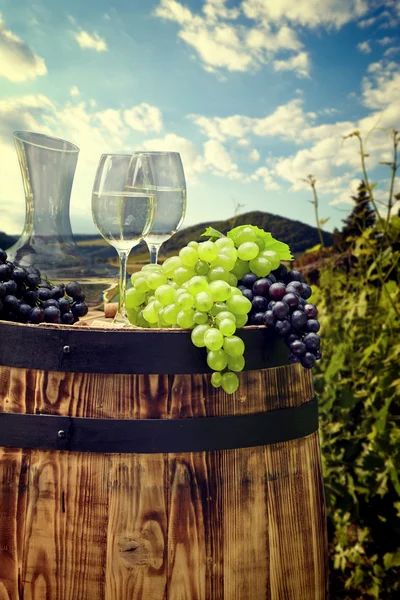 Branco vinho com barril em vinhedo na Toscana, Itália — Fotografia de Stock