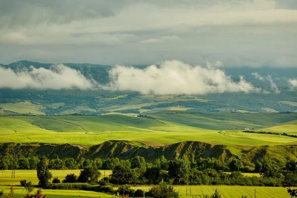 Зелені пагорби Тоскани — стокове фото