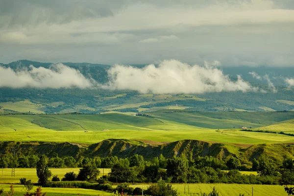 Gröna Toscana hills — Stockfoto