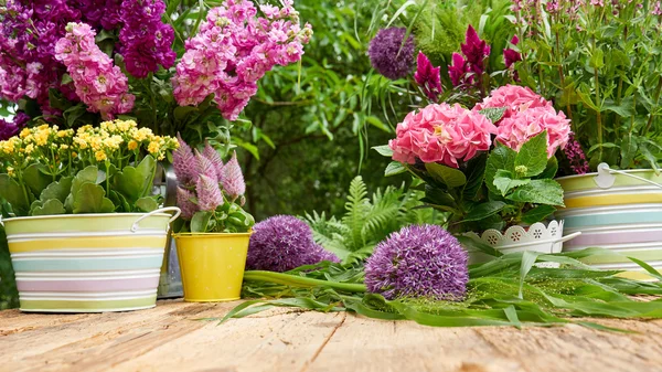 Terrasse mit Blumen im Garten — Stockfoto