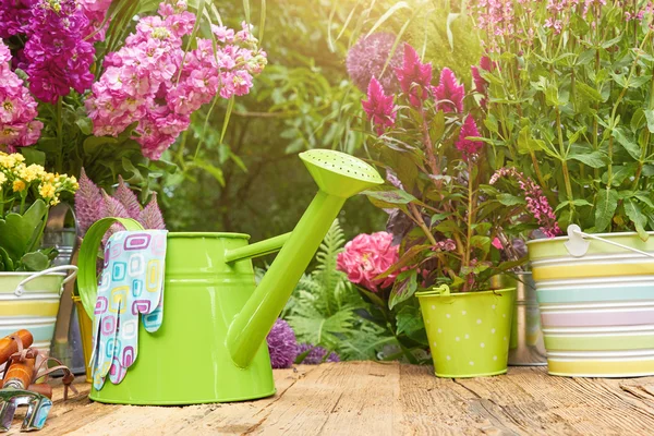 Gardening tools in garden — Stock Photo, Image