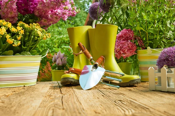 Gardening tools in garden — Stock Photo, Image