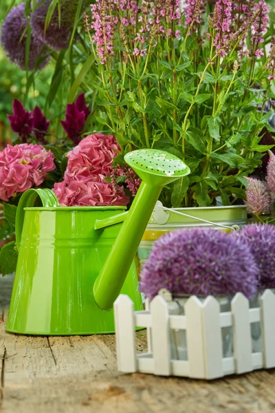 Tuingereedschap in de tuin — Stockfoto