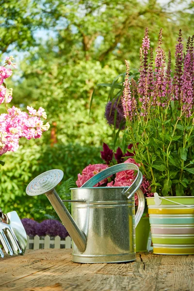 Ferramentas de jardinagem no jardim — Fotografia de Stock