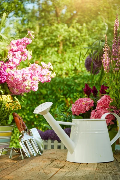 Zahradnické nářadí v zahradě — Stock fotografie