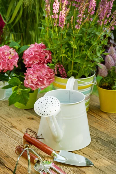 Gardening tools in garden — Stock Photo, Image