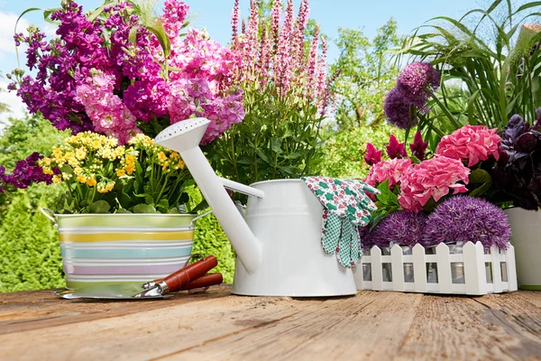 Gardening tools in garden — Stock Photo, Image