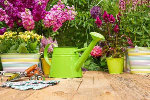 Herramientas de jardinería y flores —  Fotos de Stock