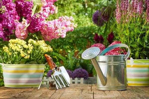 Gardening tools and flowers — Stock Photo, Image