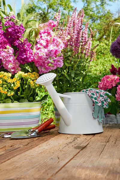 Gardening tools on table — Stock Photo, Image