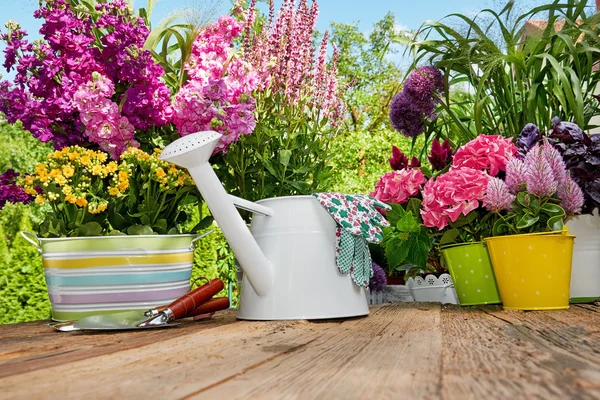 Gardening tools in garden — Stock Photo, Image