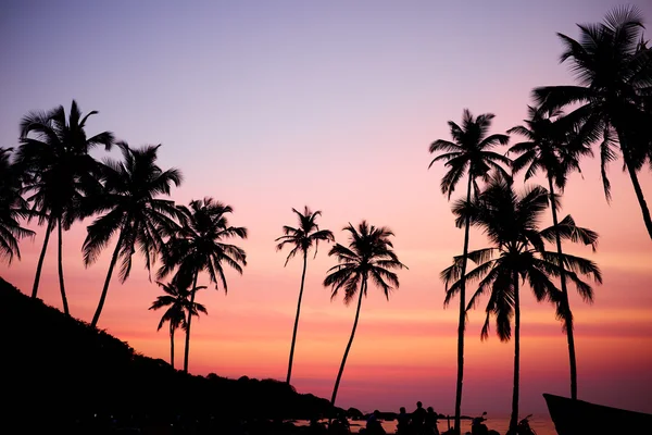 Kokospalmen bei Sonnenaufgang — Stockfoto