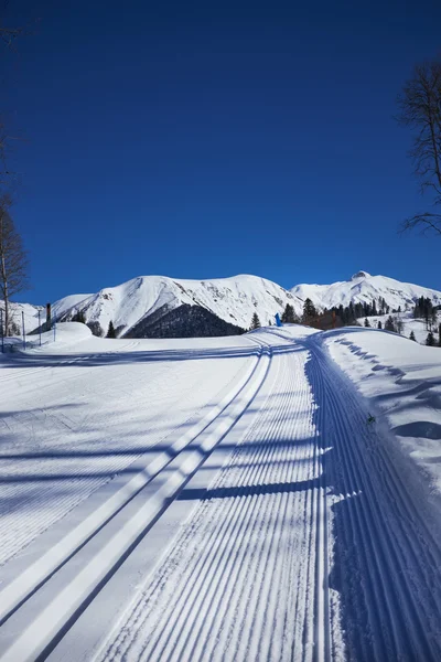 Langlaufen trail — Stockfoto