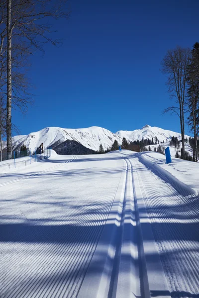 Траса для бігових лиж — стокове фото