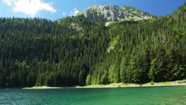 Black lake in Durmitor national park in Montenegro, Europe — Stock Video