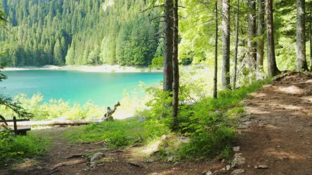 Černé jezero v národním parku Durmitor v Černé hoře, Evropa — Stock video