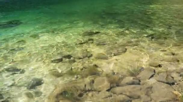 Coast of the Black lake close up, Durmitor national park, Montenegro — Stock Video