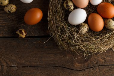 Tavuk ve bıldırcın ahşap rustik arka plan üzerinde bir yuvadaki yumurta