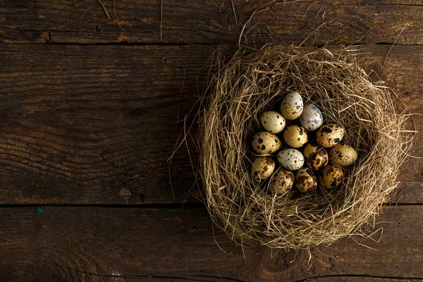 Kwartel eieren in een nest op een houten rustieke achtergrond — Stockfoto