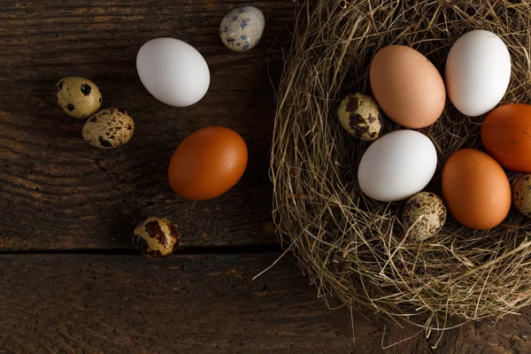 Kip en kwartel eieren in een nest op een houten rustieke achtergrond — Stockfoto