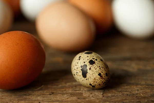 Tavuk ve Bıldırcın yumurta bir ahşap rustik arka plan üzerinde — Stok fotoğraf