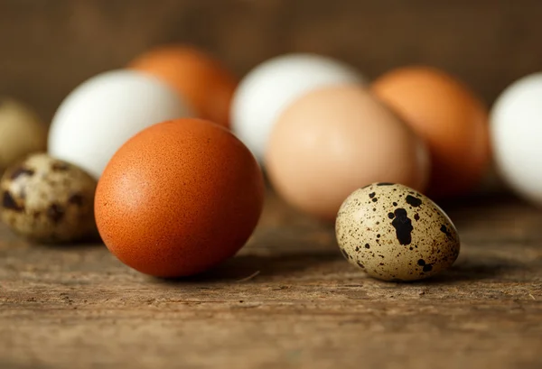 Ovos de galinha e codorniz em um fundo rústico de madeira — Fotografia de Stock