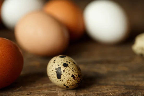 Oeufs de poulet et de caille sur un fond rustique en bois — Photo