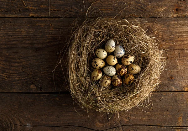 Quail eggs in a nest on a wooden rustic background — Stock Photo, Image
