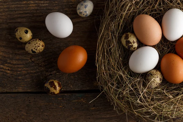 Kip en kwartel eieren in een nest op een houten rustieke achtergrond — Stockfoto