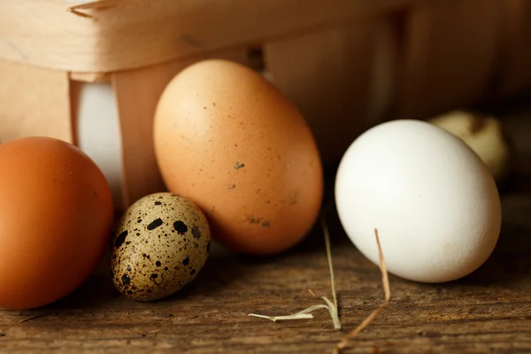 Oeufs de poulet et de caille sur un fond rustique en bois — Photo