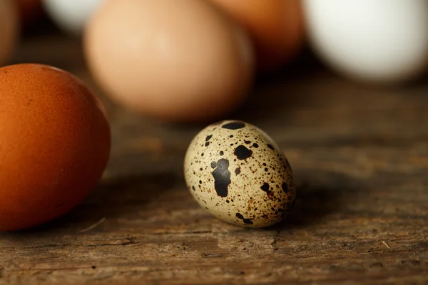 Pollo fresco y huevos de codorniz sobre un fondo de madera —  Fotos de Stock