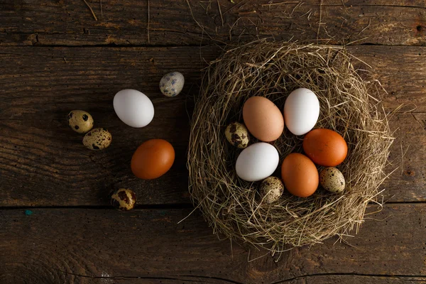 Fresh chicken and quail eggs in a nest on a wooden background — Stock Photo, Image